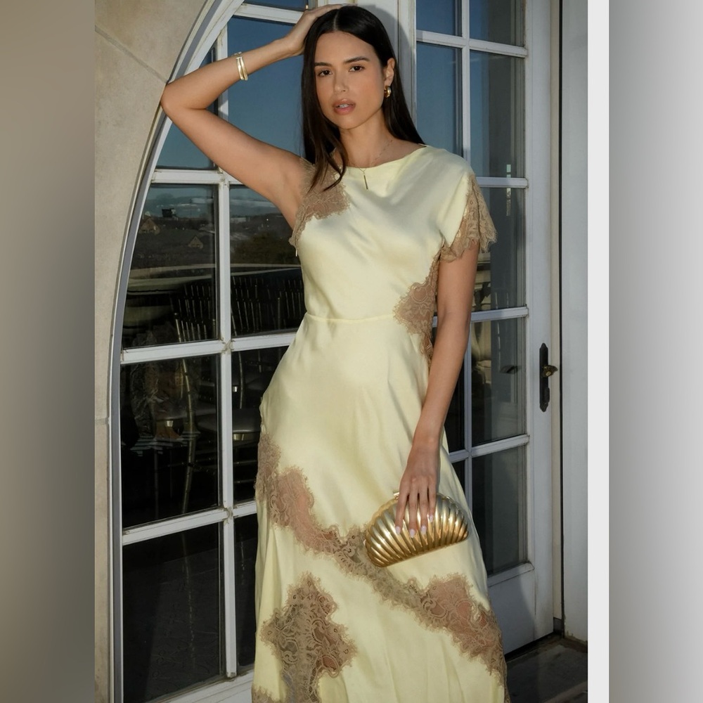NWT ALC Alessia Satin & Lace Dress